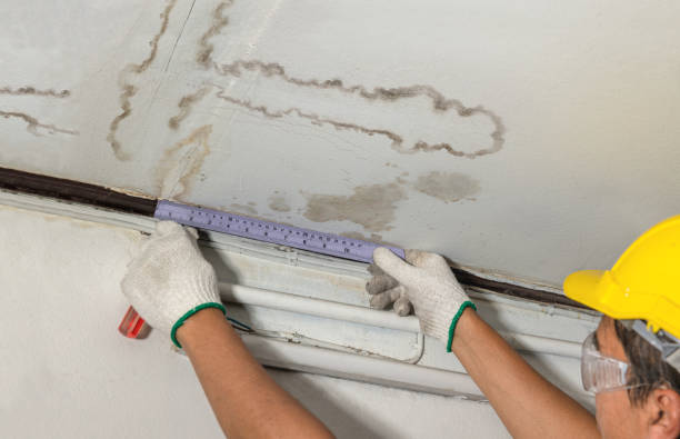 Reliable Burst Pipe Cleanup contractor in Lake Park, IA by Water Damage Irwin